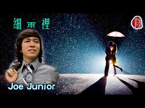 Joe Junior 細雨裡 1982 歌詞MV 1080p 填詞 林敏聰 電影 涼茶馬尾飛機頭 主題曲 