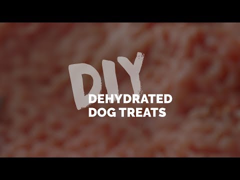 diy:-dehydrated-dog-treats