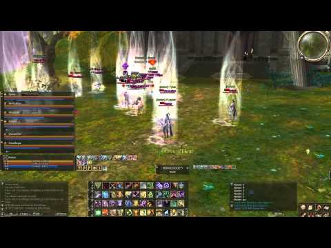 Lineage2 - [Core] Amber CP - Aesthetics Of Hate pa...