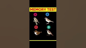 Memory Test | Riddle And Puzzle | Part 1 | #shorts