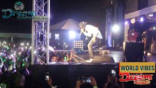 ALKALINE   dream weekend 2019