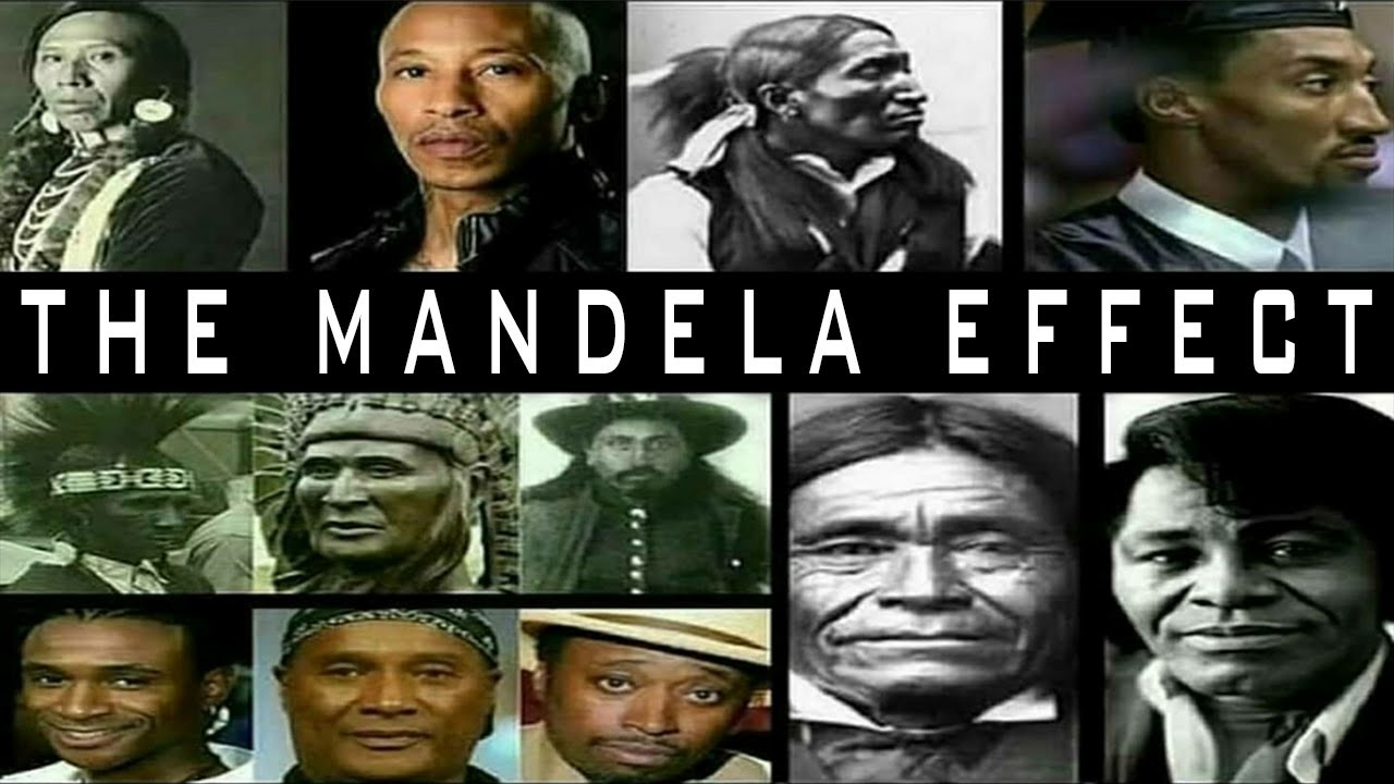 What Happened In Africa Happened In America Also Dane Calloway what-happened-in-africa-happened-in-america-also-dane-calloway