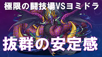 闘技場 安定 ヨミドラ 闘技場 安定 ヨミドラ