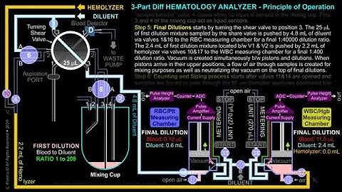 3 Part Differential HEMATOLOGY ANALYZER – Principle of Operation: Final Dilutions ANIMATION