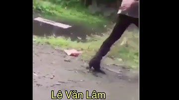 Lê văn lâm - nhậu là phải cho say tới bến. Khi về thì Cấm đầu cấm cổ xuống đất. - thánh lồng tiếng.