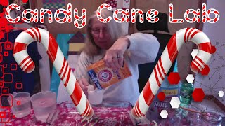 First Steps Science: Candy Cane Lab