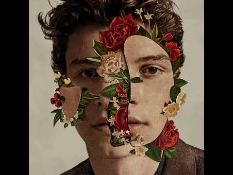 Shawn Mendes Camila Cabello Señorita 1 Hour 