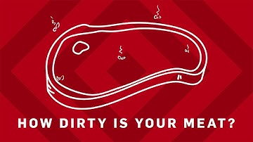 How Dirty Is Your Meat? | Earth Science