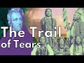 Causes and Consequences of the Trail of Tears