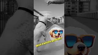Dancing Dog On The Street