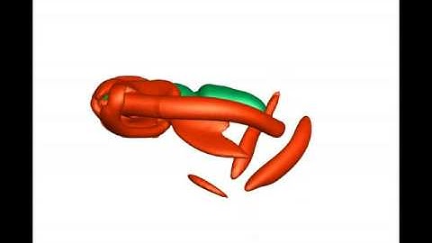 CFD Simulations of Diptera configuration at low Reynolds number in hover