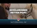 Pony vor schlachthof bewahrt schlerinnen retten prinz