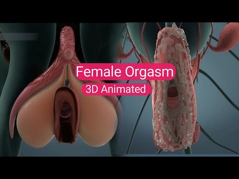 Female Orgasm| The Power of Her Pleasure: Exploring Female Orgasms| 3D Animated