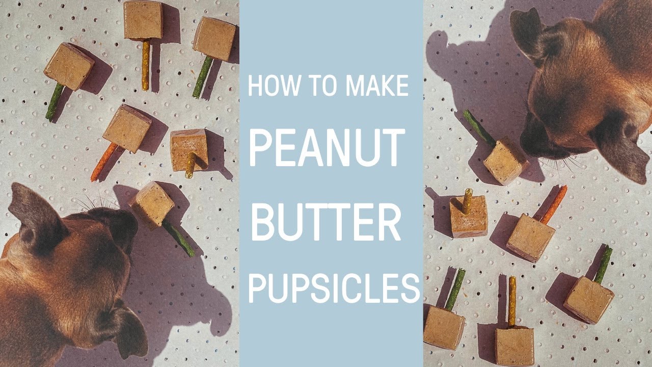 peanut butter pupsicles