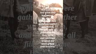 Pentecost Sunday #Acts431 #pentecost #christian #scripture #verseoftheday #Jesus #holyspirit #fire