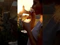 Valletta Sunsets & Cocktails at Over Grain