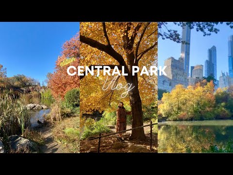 Βίντεο: Δεν υπάρχουν άλλες βόλτες με Buggy στο Central Park της Νέας Υόρκης