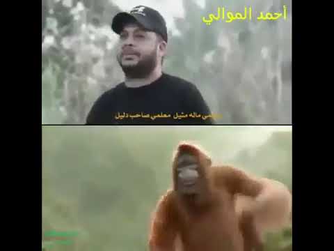 معلمي صاحب دليل معلمي ما له مثيل 