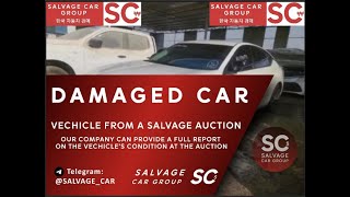 1N4BL4AP8RN436717 CHECK PROFESSIONAL REPORT