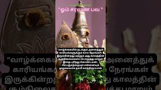 Download Lagu APPA MURUGA ❤💚#thiruchendurmurugan #muruganthunai #murugantemple #muruganwhatsappstatustamil MP3