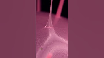 Thumbnail of Stretching a Rubber | Original sounds created by  @OddioStudio Follow this Foley artist!