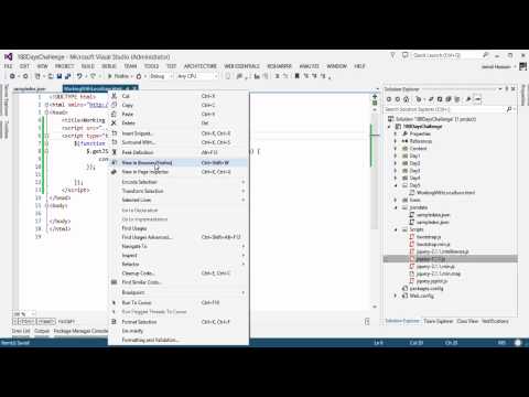 Local JSON File in Web Projects Visual Studio 2013 MVC4