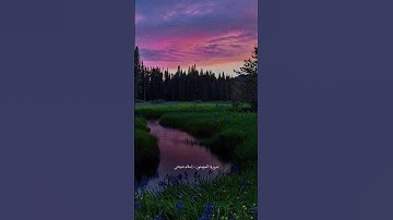 قرآن كريم #قرآن #اكسبلور #ارحقلبك #capcut #راحة_نفسية #دويتو #قران #لايك #duet