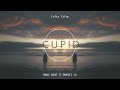 ADEM SANTUY!! Rawi Beat Ft Sandii Lx Remix - Cupid (Slow Remix)