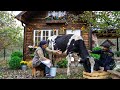 Cheesemaking - Making Cheese From Fresh Cow's Milk