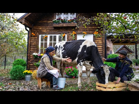 Cheesemaking - Making Cheese From Fresh Cow's Milk