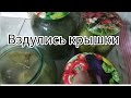 Взорвались банки с Аспирином с огурцами ! 🥒🥒🥒 Консервируем огурцы на зиму! Чем заменить Аспирин !??