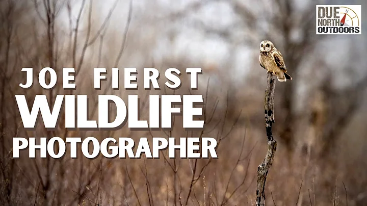 Joe Fierst: Wildlife Photographer