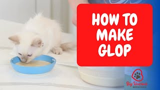 Help Kittens Thrive! | How To Make Glop | Pet Nutrition | Big Hearted Breeders by Big Hearted Companions 165 views 2 years ago 8 minutes, 2 seconds