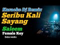 Karaoke Dj Seribu Kali Sayang Saleem Female Key