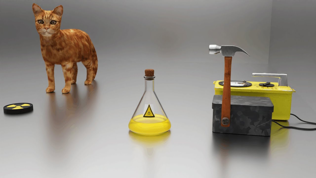 Schrödinger's catAnimation explaining the famous thought experiment in