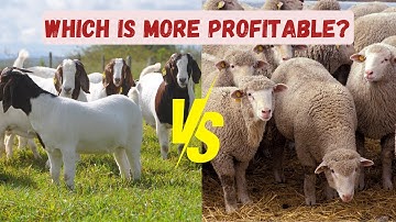 Goat Farming vs. Sheep Farming: Which is More Profitable?