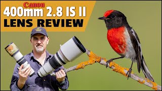 Canon 400 2.8 IS II Is It Worth the Money?? Let's Find Out!! Canon Lens Review