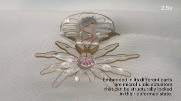 MORPH: A new soft material microfabrication process