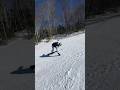 Snowboard Carving #shortsfeed #extremesport #viral #snowboarding