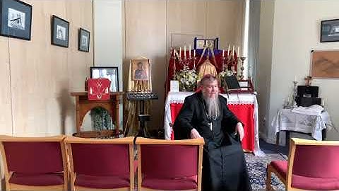 Conference on the prospective errors of the Amazon Synod 2019