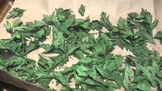 How to Dry Parsley #herbs #organicgardening