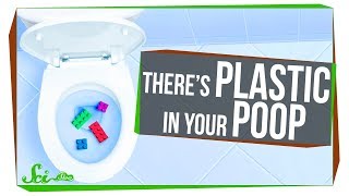 Why You Should Care About the Plastic in Your Poop