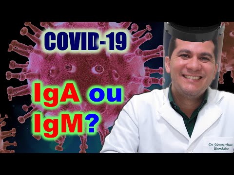 Vídeo: Diferença Entre IGA E IGG