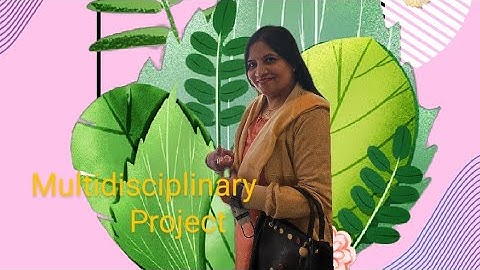 How To Make || Multidisciplinary Project || For Class 3 NCERT || Understand With Shilpa.