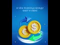 💥 Обе обещают $1, но только одна действительно заслуживает ваше доверие