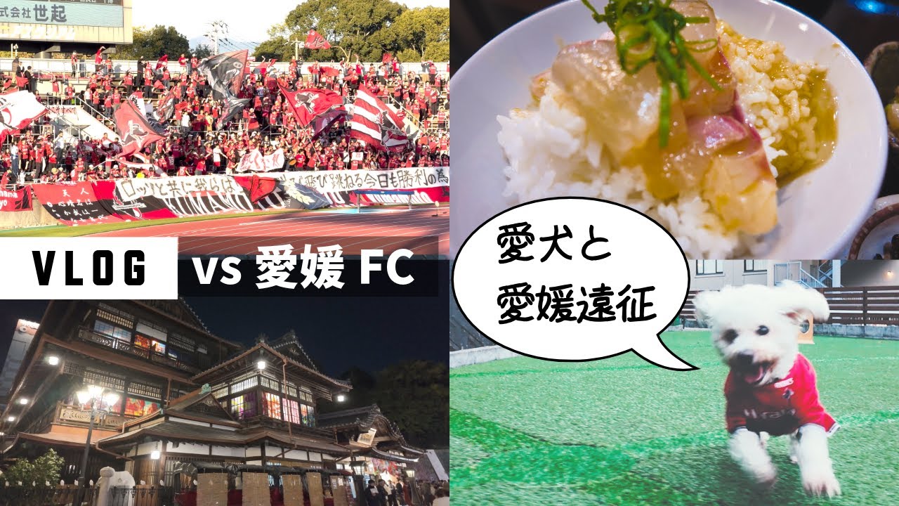 【熊本サポVLOG】vs 愛媛FC 愛犬と行くアウェイ愛媛遠征！ペットと泊まれる道後温泉宿！【ロアッソ熊本】