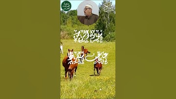 من #سورة_الرحمن #القرآن_الكريم #اكسبلور #المصحف #quran #suratarrahman