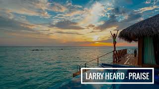 Larry Heard - Praise