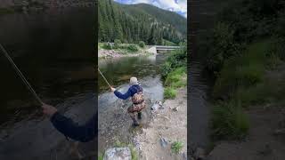 A big, beautiful brook - fly fishing in a Colorado Gold Medal Water.