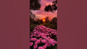 #تلاوة_خاشعة #إسلام_صبحي #تلاوة_مؤثرة 🌷🌷